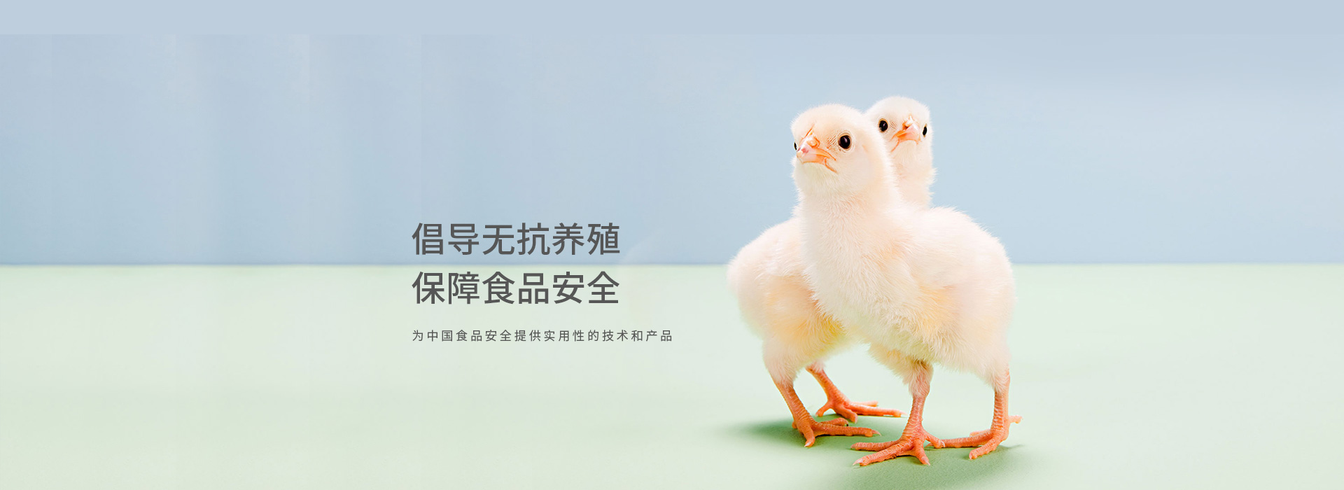 生物安全 无抗养殖