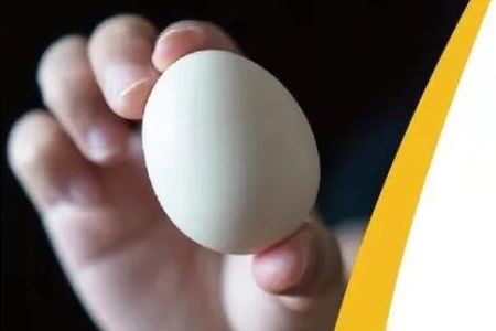 美国鸡蛋全球出口增长迅速