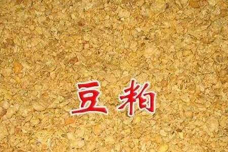 基本面供应宽裕，豆粕行情后续还有多少涨势？